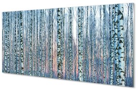 Rivestimento parete cucina Tramonto della foresta di betulle 100x50 cm