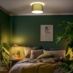 Brilagi - Plafoniera LED CERIA 1xE27/40W/230V Ø 45 cm verde