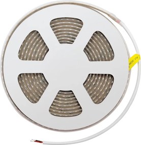 Striscia LED 24V 10W/m Alta Efficienza Professionale - IP67 - 5 metri