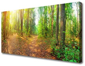 Quadro su tela Alberi della natura della foresta 100x50 cm