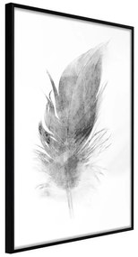 Poster  Lost Feather (Grey)  Cornice Quadri Cornice nera, Larghezza x Altezza Home decor 20x30