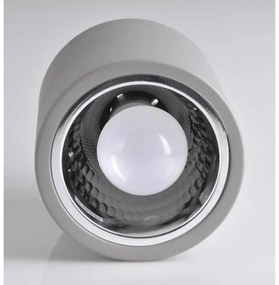 Faretto JUPITER 1xE27/20W/230V diametro 13 cm grigio