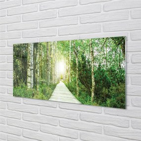 Quadro vetro Bosco stradale betulla 100x50 cm