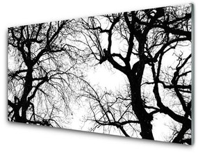 Quadro in vetro Natura Alberi in bianco e nero 100x50 cm