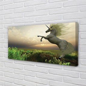 Foto quadro su tela Campo unicorno 100x50 cm