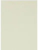 Sanderson Carta da parati Soho Plain - Birch White