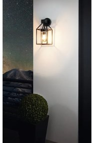 Eglo 97296 - Applique da esterno TRECATE 1xE27/60W/230V