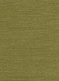 Arte International Carta da parati Agave - Olive