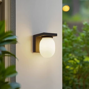 Lucande applique da esterno Ovaali, vetro, grigio scuro, IP65