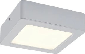Rabalux 3174 - Plafoniera LED SHAUN LED/12W/230V 14,5 cm