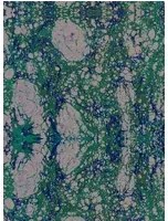Marmorierte Tapete Marbled Paper von MINDTHEGAP - WP20344