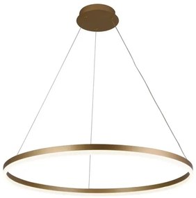 Brilagi - Lampadario a sospensione con filo LED dimmerabile CIRCLE LED/55W/230V 3000-6500K oro + +TC