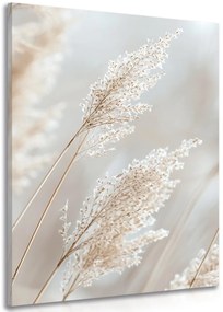 Quadro su tela – Canna beige