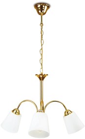 Lampadario 1162 Decorative Colore Oro 40W Mis 60 x 80 cm