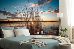 Carta da parati – Steli d'erba vicino al lago