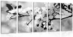 Quadri 5 pezzi – Fiore di ciliegio in bianco e nero