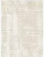 Élitis Carta da parati Atelier d'Artiste - VP 880 02