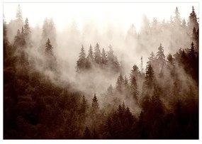 Fotomurale adesivo  Mountain Forest (Sepia)  Larghezza x Altezza Home decor 441x315