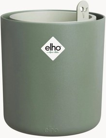 Portavaso Bouncy Basil