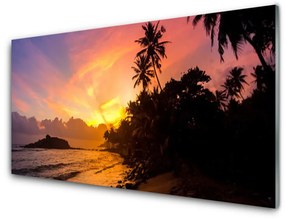 Pannello schienali cucina Mare, sole, palme, paesaggio 100x50 cm