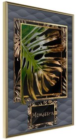 Poster  Monstera in the Frame  Cornice Quadri Cornice d'oro, Larghezza x Altezza Home decor 20x30