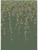Cole & Son Carta da parati Hummingbirds Flora - Fuchsia on Racing Green