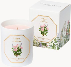 Candela profumata La Rose Aime La Menthe (rosa & menta)
