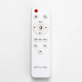 Brilagi - Plafoniera LED dimmerabile PINE LED/24W/230V + telecomando