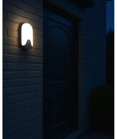 Lampada da parete per esterni LED con sensore di movimento, 18W/230V, IP44, antracite