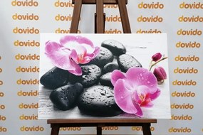 Stampa su tela – Bella armonia di pietre e orchidee