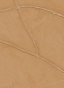 Élitis Carta da parati Kintsugi - VP 1004 21