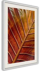 Poster  Bronze Leaf  Cornice Quadri Cornice d'oro con passe-partout, Larghezza x Altezza Home decor 30x45