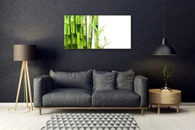 Quadro vetro acrilico La pianta di bambù 100x50 cm