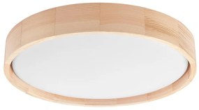 Brilagi - Lampada LED da soffitto MANAROLA SIMPLE LED/24W/230V 3000K