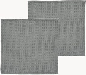 Set di 2 strofinacci in cotone Spectrum