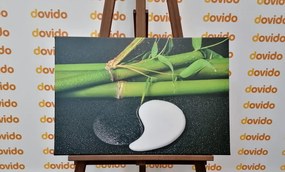 Stampa su tela – Pietre a forma di Jin e Jang