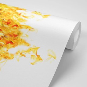 Carta da parati – Leone infuocato