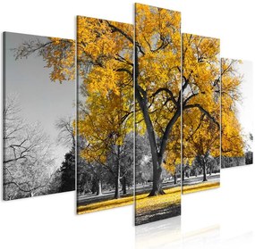 Quadro Autumn in the Park (5 Parts) Wide Gold
