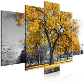 Quadro Autumn in the Park (5 Parts) Wide Gold  Colore Grigio, Dimensioni e Misure 200x100