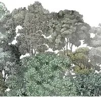 Rebel Walls Carta da parati panoramica Bellewood - Green