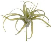 Set 4 Foglie Artificiali Tillandsia per 21 25 cm