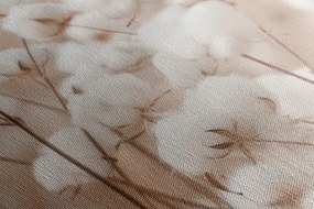 Quadro su tela – Pianta di cotone nel campo