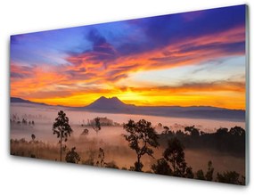 Quadro su vetro Alberi Nebbia Paesaggio 100x50 cm