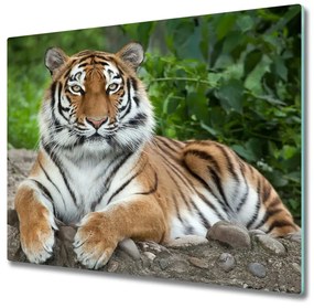 Tagliere in vetro Tigre siberiana 60x52 cm