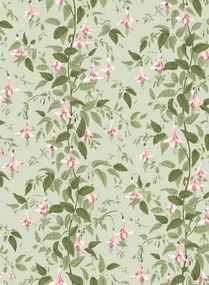 Cole & Son Carta da parati Fuchsia - Powder Pink and Olive on Soft Spring Green