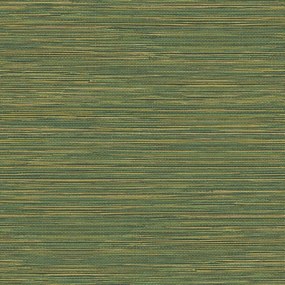 Carta da parati Tahiti Grasscloth  verde, 53 cm x 10 m
