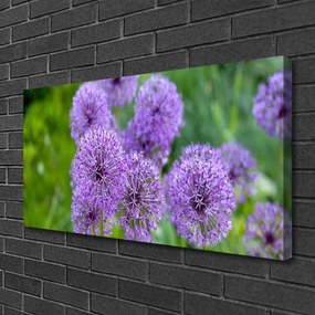 Foto quadro su tela Fiori viola del prato 100x50 cm