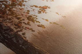 Quadro su tela – Foresta autunnale nebbiosa