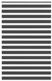 Tenda A Rullo Zebra Nero Larghezza Tessuto 135,9 Cm Poliestere /