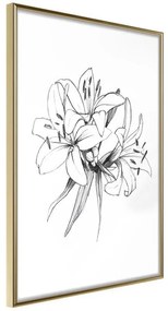 Poster  Sketch of Lillies  Cornice Quadri Cornice d'oro, Larghezza x Altezza Home decor 20x30